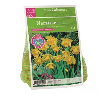 Blumenzwiebel Narzisse 'Carlton'